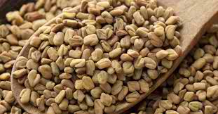Fenugreek seeds