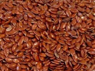 Flax seed