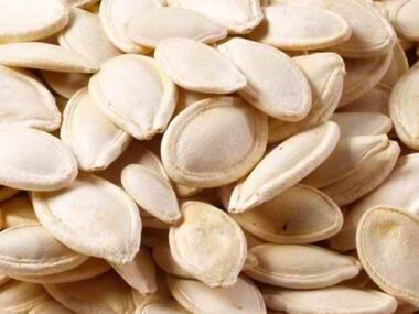 Pumpkin seeds