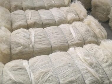 Long sisal fibre