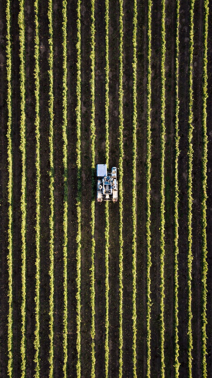 Aerial view of a tractor working neat rows in a field
