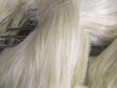 Sisal Fiber Grade 3L(3 Long) Sisal Fiber Grade 3L(3 Long)