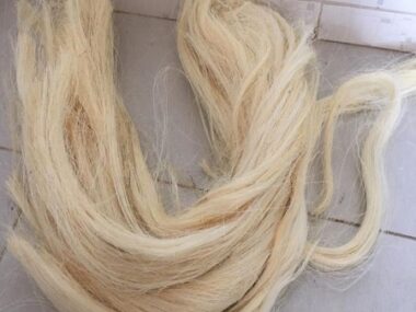 Sisal Fiber Short Fiber Tow 1 Sisal Fiber Short Fiber Tow 1