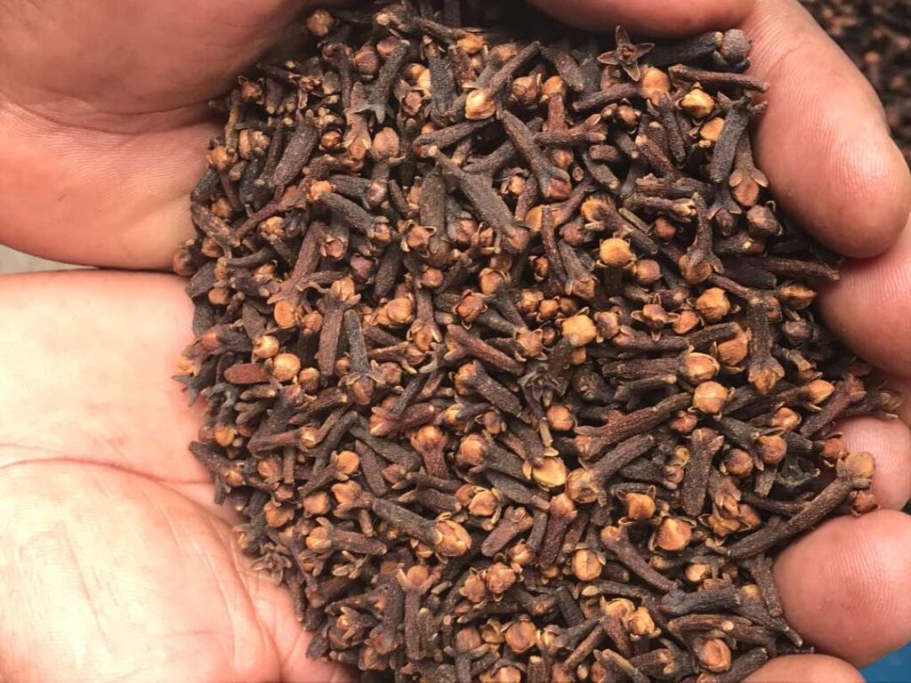 Cloves Cloves