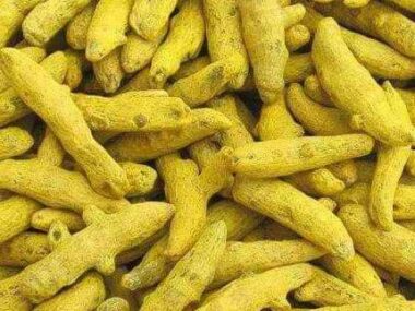 Turmeric (First Grade) Turmeric (First Grade)