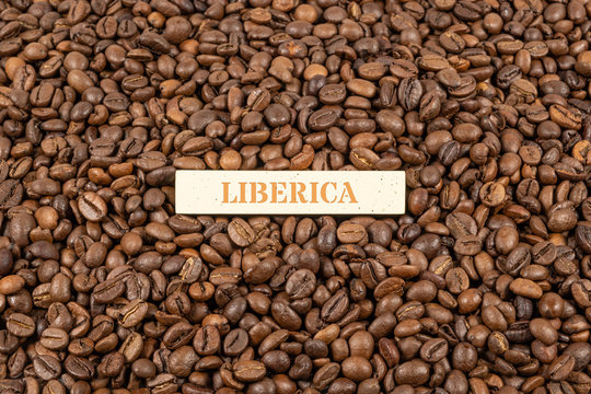 Liberica Coffee Suppliers