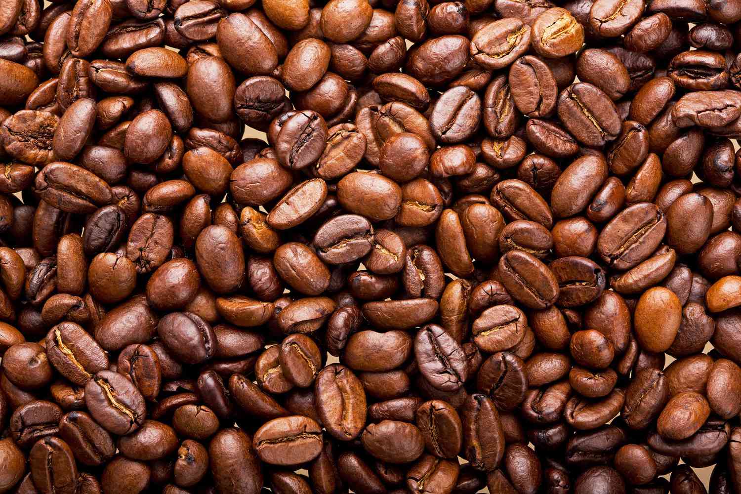 Arabica Coffee Suppliers